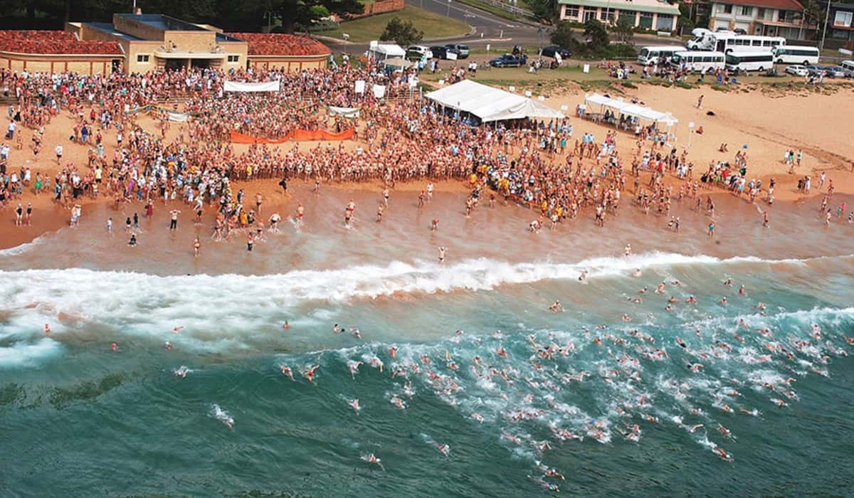 The Big Swim - Start The Big Swim - Start