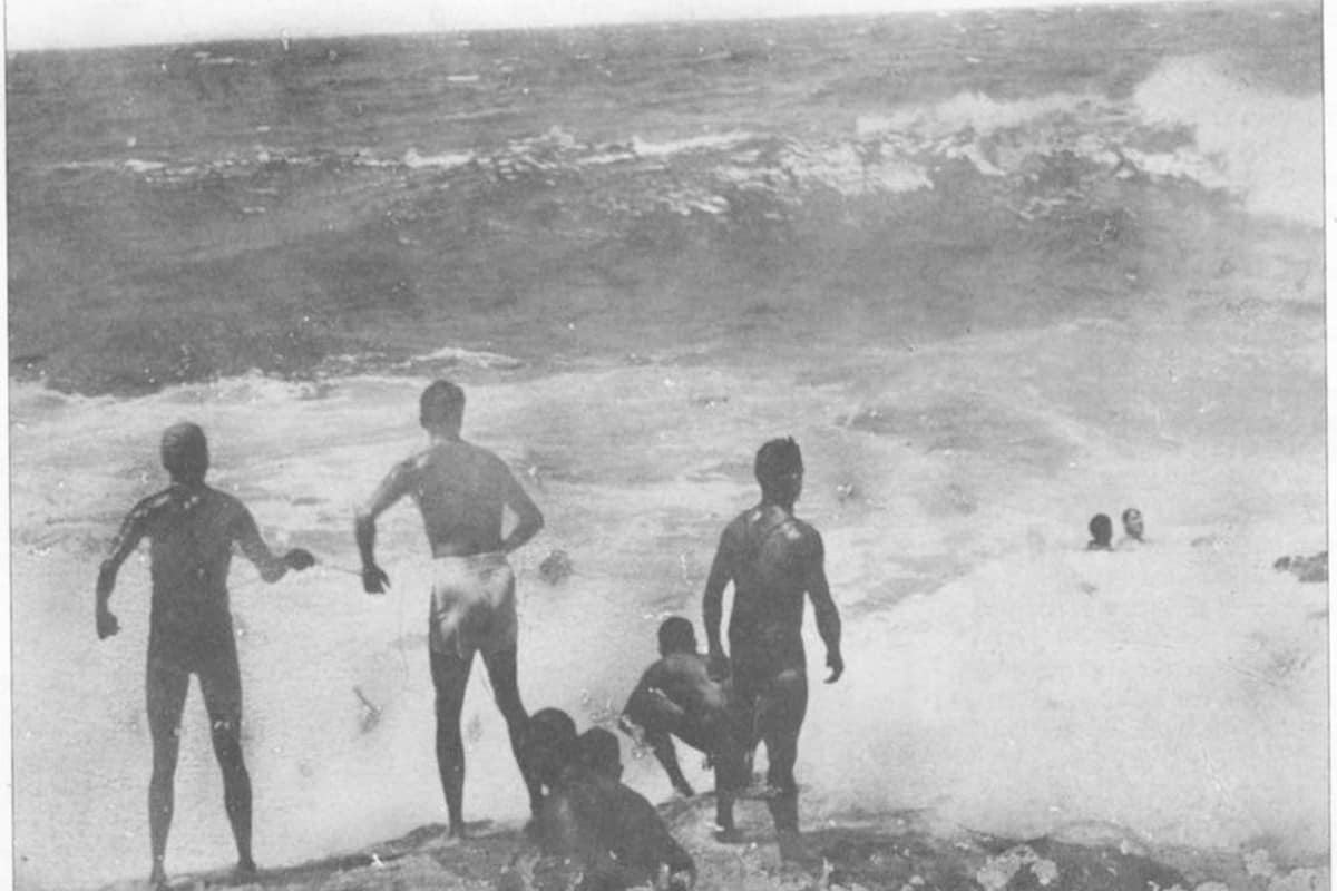 Whale Beach rocks rescue